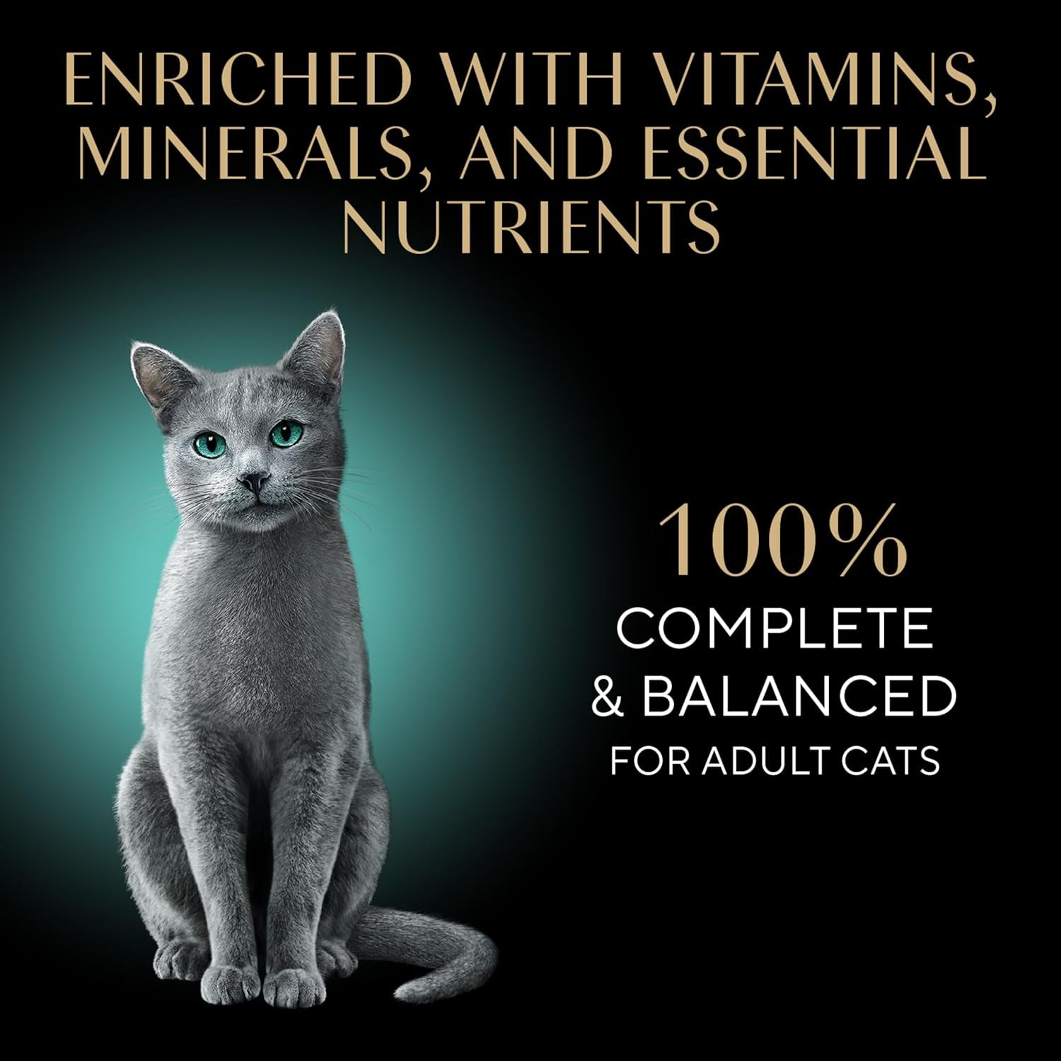 Perfect Portions Wet Cat Food Pate with Sustainable Salmon, Signature Seafood Entree, and Tender Whitefish and Tuna Entree Variety Pack, 2.6 Oz. Twin Pack Trays (24 Count, 48 Servings)