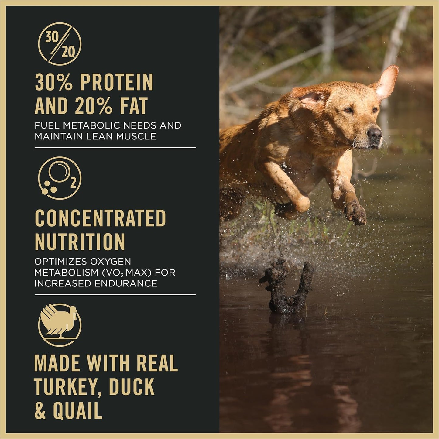 Sport Performance 30/20 Turkey Duck Quail Formula Dry Dog Food, High Protein Dog Food - 6 Lb. Bag