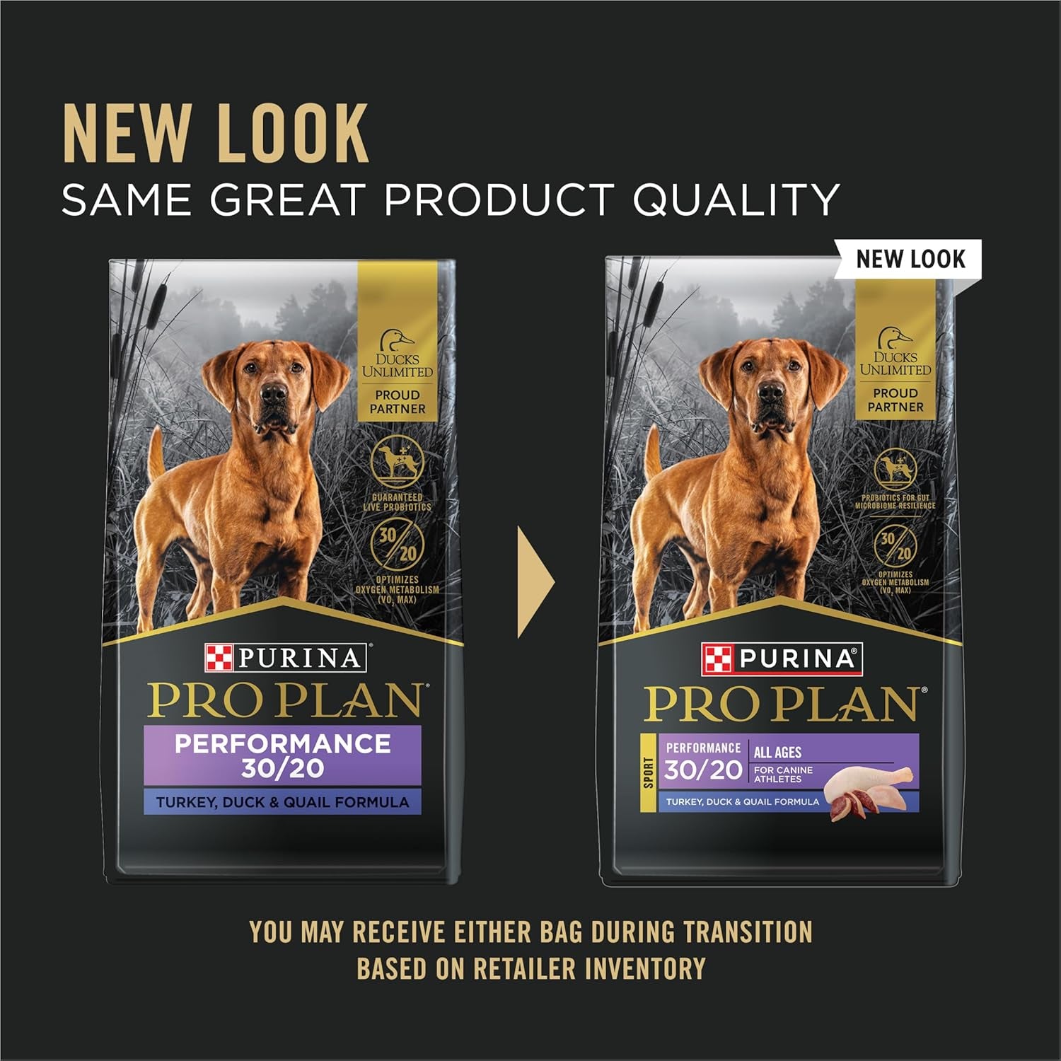Sport Performance 30/20 Turkey Duck Quail Formula Dry Dog Food, High Protein Dog Food - 6 Lb. Bag